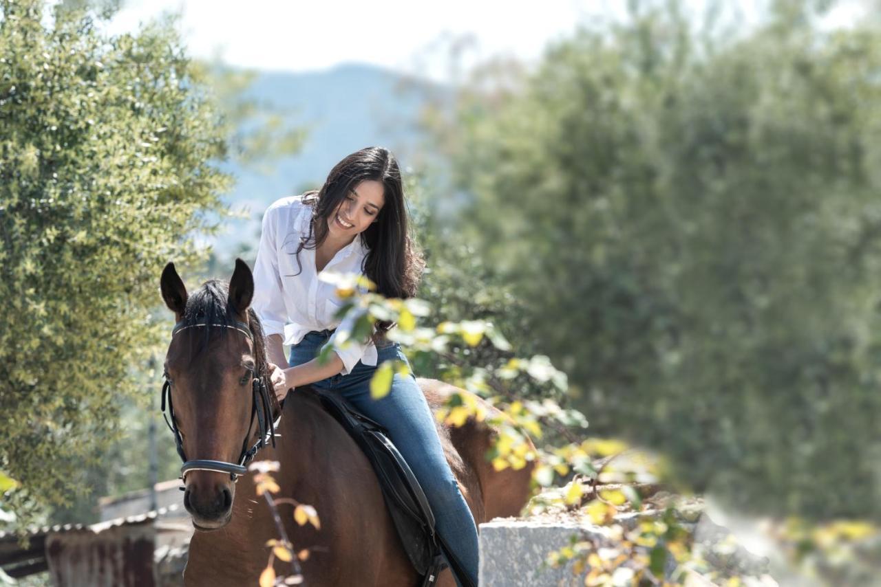 The Olive Yard Aparthotel Γύθειο Εξωτερικό φωτογραφία