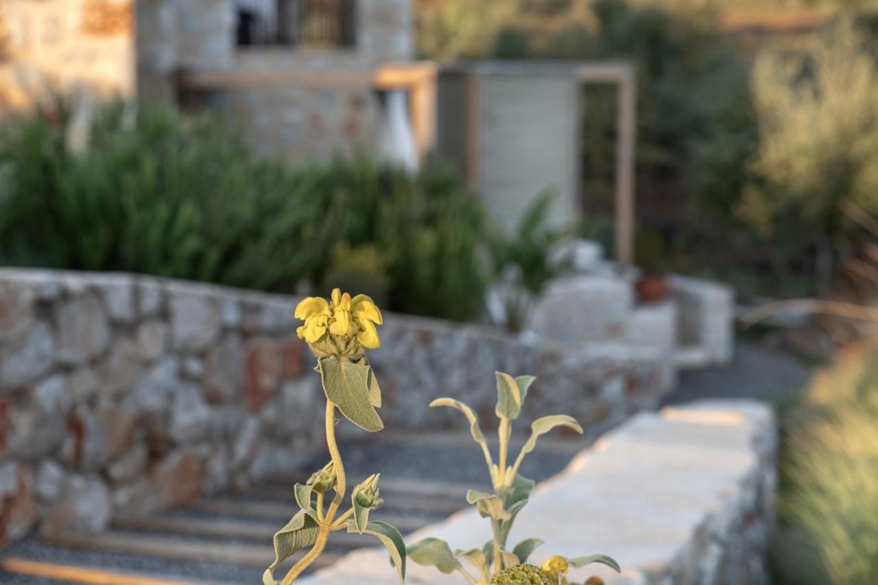 The Olive Yard Aparthotel Γύθειο Εξωτερικό φωτογραφία